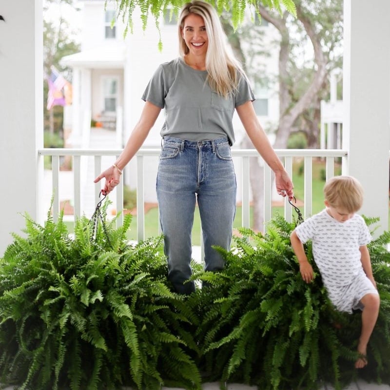 🌱 UV-Resistant Lifelike Artificial Boston Fern